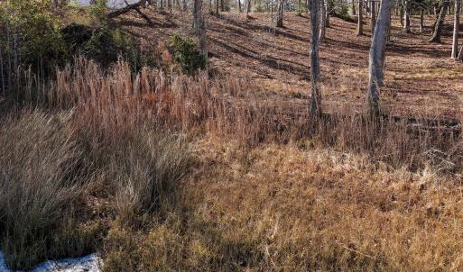 17 Redd Banks Ln MLS-31