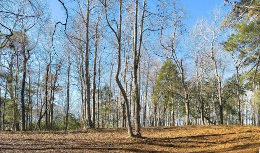 17 Redd Banks Ln MLS-44