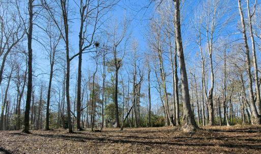 17 Redd Banks Ln MLS-23