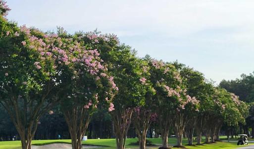 428610222_1171107024228695_2207166179333