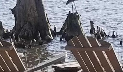 428616947_1171106494228748_3035239528999