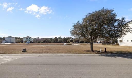 3-web-or-mls-1S3A9269