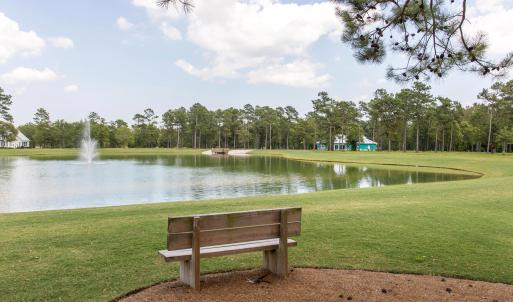 TheBluffsontheCapeFear5