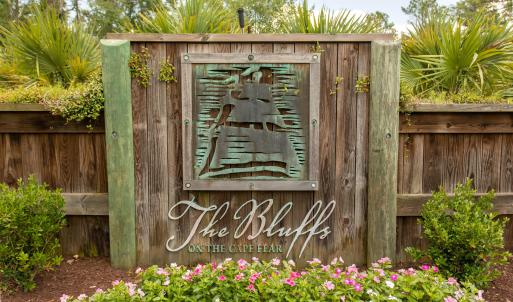TheBluffsontheCapeFear2