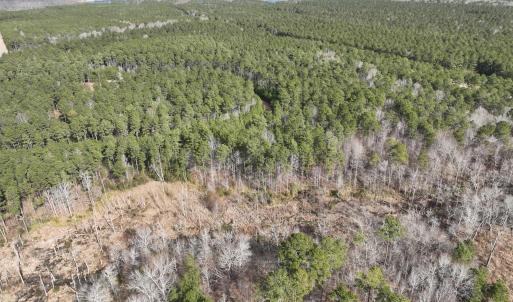 DJI_0154