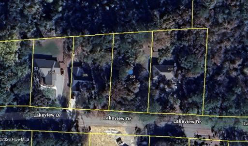 Screenshot 2026-01-31 at 4.23.03PM