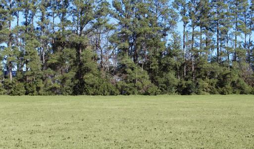 View of back of lot