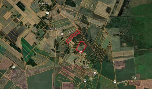 Screenshot 2026-02-03 at 9.51.54AM