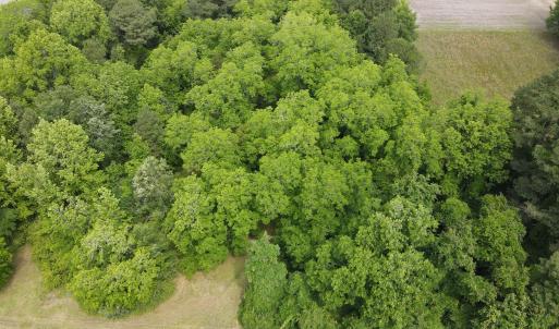 DJI_0368
