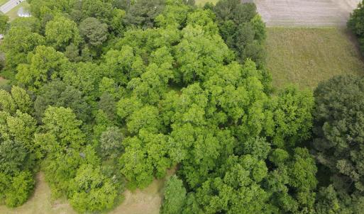 DJI_0369