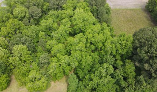 DJI_0372