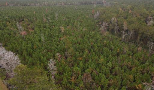 28 Acre 10