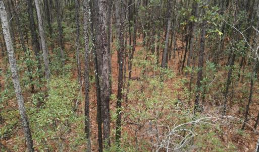 10 Acre 7