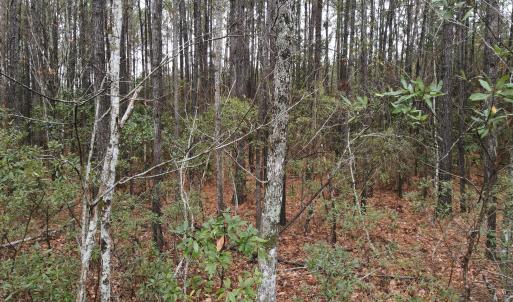 10 Acre 5