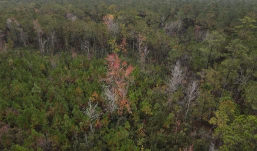 28 Acre 12