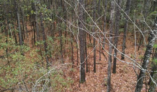 10 Acre 6