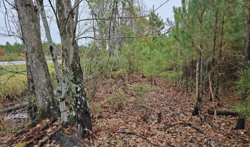 28 Acre 8