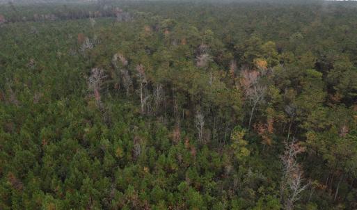 28 Acre 14