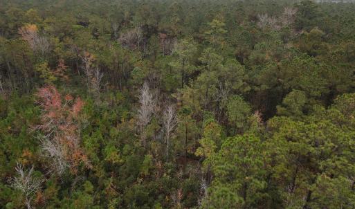 28 Acre 11