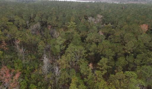 28 Acre 13