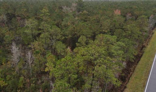28 Acre 15