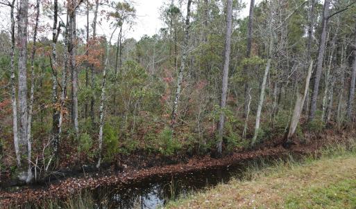 28 Acre 4