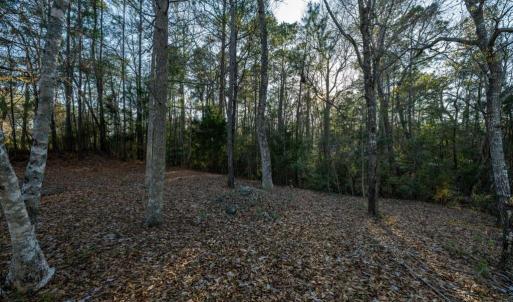 413-River-Crest-Dr-09