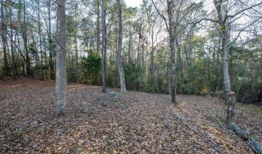 413-River-Crest-Dr-08