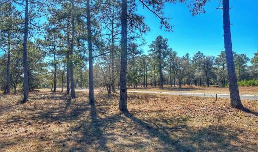 IMG_4506_SnapseedCopy (1)