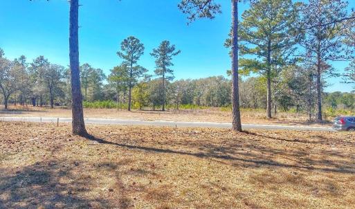 IMG_4503_SnapseedCopy