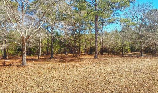 IMG_4505_SnapseedCopy