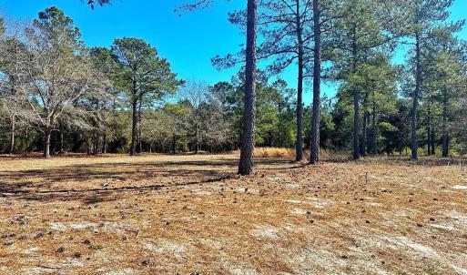 IMG_4511_SnapseedCopy