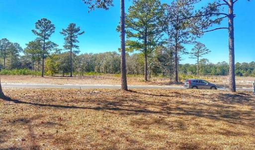 IMG_4502_SnapseedCopy