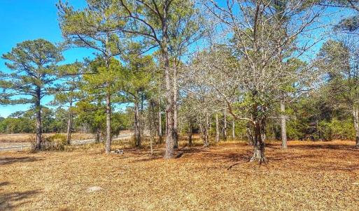 IMG_4507_SnapseedCopy