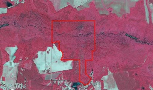 Screenshot_5-2-2026_23549_id.land