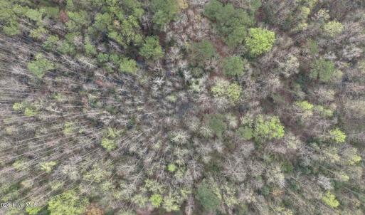 DJI_20260321212241_0074_D