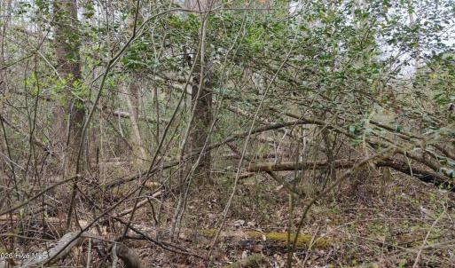 DJI_20260321221111_0144_D