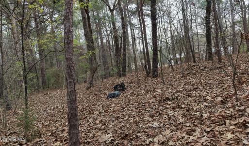 DJI_20260321214319_0125_D