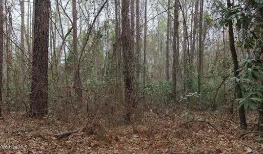 DJI_20260321213408_0104_D