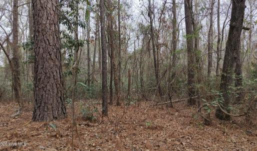 DJI_20260321213359_0103_D