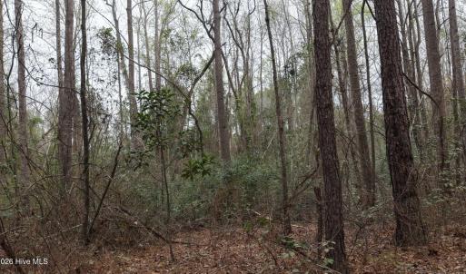 DJI_20260321214154_0123_D