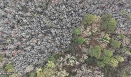 DJI_20260321212342_0077_D