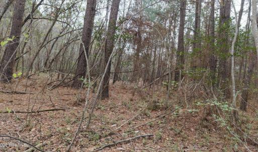 DJI_20260321214049_0118_D