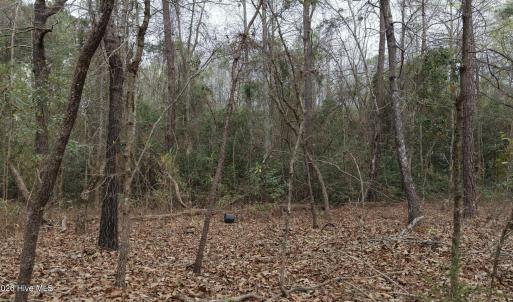 DJI_20260321214322_0126_D