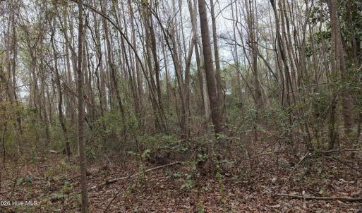 DJI_20260321214039_0117_D