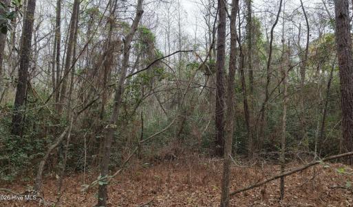 DJI_20260321214212_0124_D