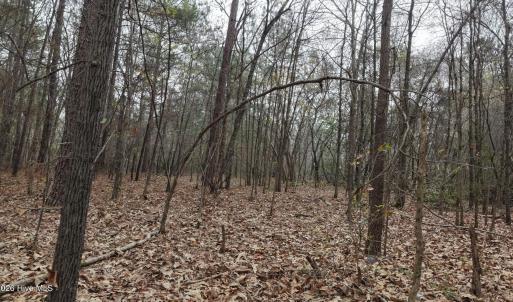 DJI_20260321214136_0122_D