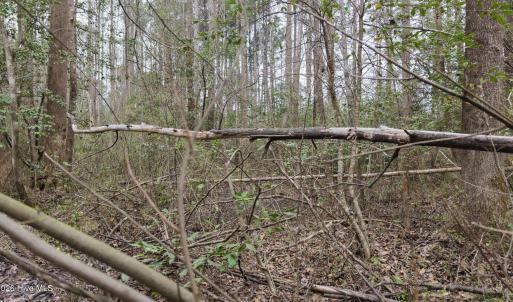 DJI_20260321220904_0139_D