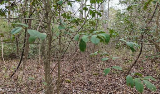 DJI_20260321220805_0136_D