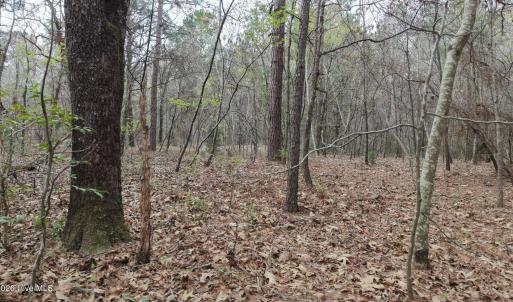 DJI_20260321213346_0102_D